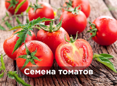 Овощи