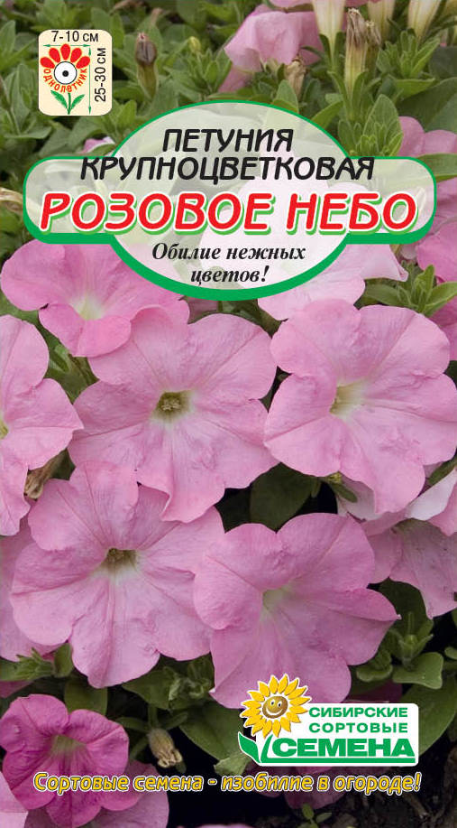 НОВИНКИ СЕМЯН ЦВЕТОВ УЖЕ В ПРОДАЖЕ