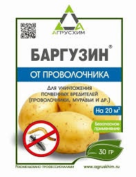 баргузин