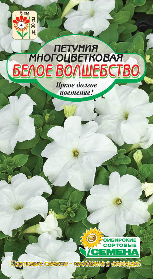 НОВИНКИ СЕМЯН ЦВЕТОВ УЖЕ В ПРОДАЖЕ