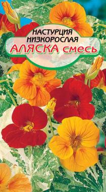 Аляска настурция  40см 1гр (ссс)