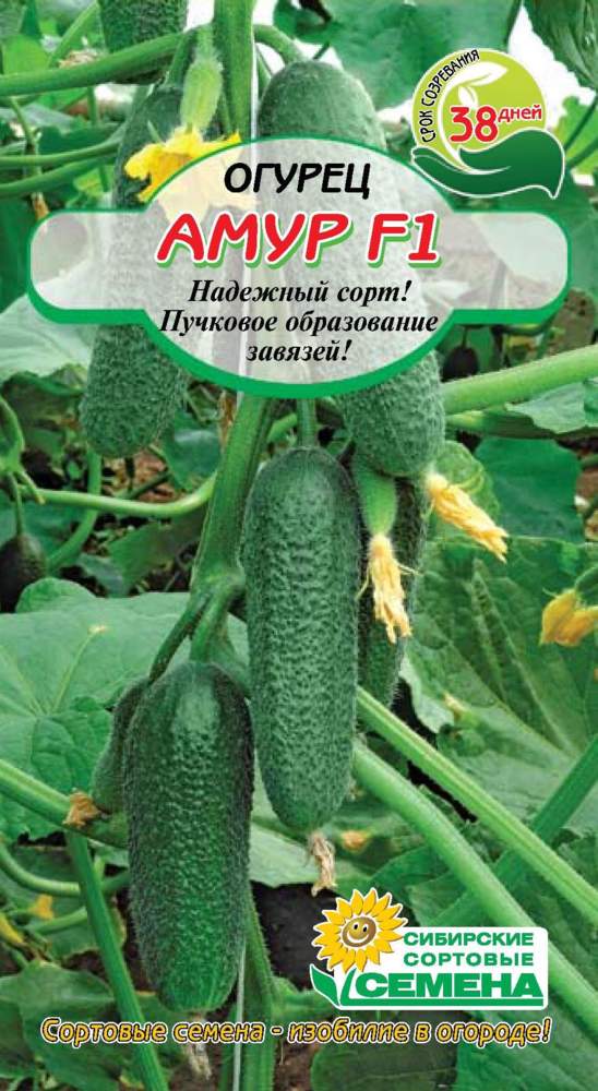 НОВИНКИ СЕМЯН ОВОЩЕЙ УЖЕ В ПРОДАЖЕ!