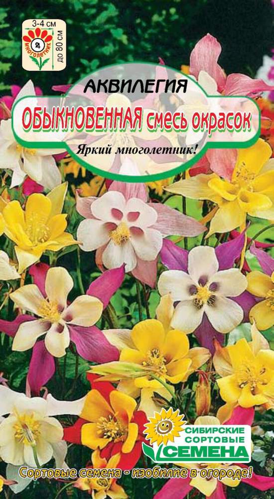 НОВИНКИ СЕМЯН ЦВЕТОВ УЖЕ В ПРОДАЖЕ