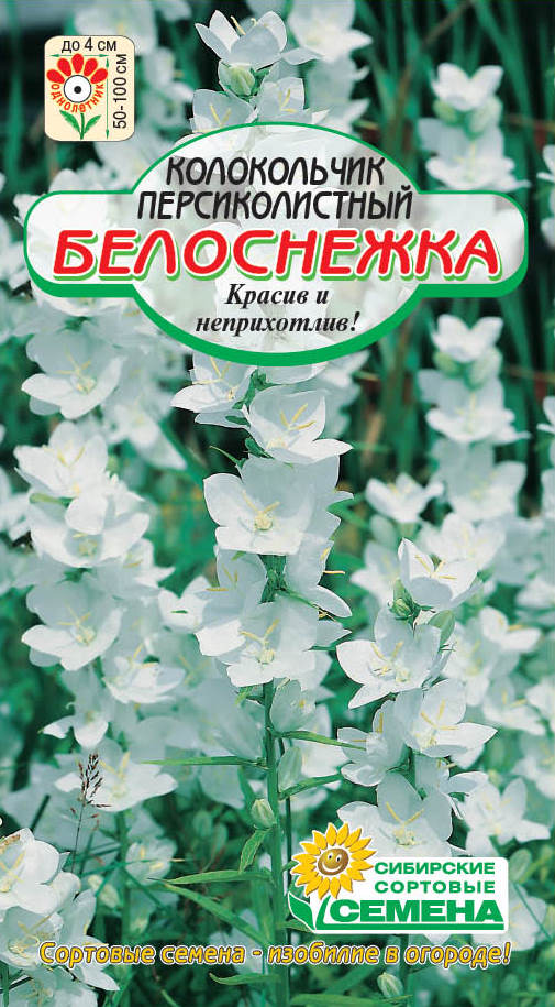 НОВИНКИ СЕМЯН ЦВЕТОВ УЖЕ В ПРОДАЖЕ