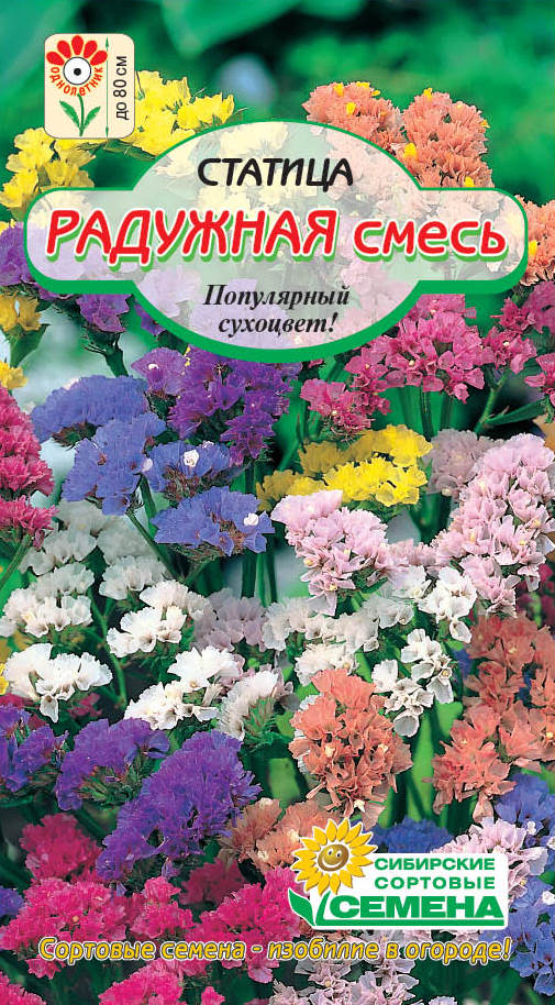 НОВИНКИ СЕМЯН ЦВЕТОВ УЖЕ В ПРОДАЖЕ