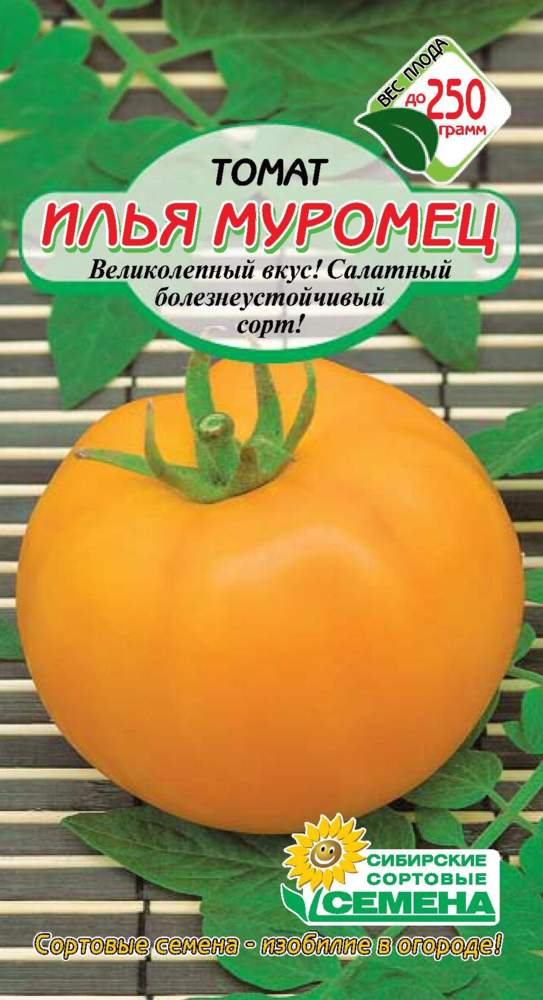 НОВИНКИ СЕМЯН ОВОЩЕЙ УЖЕ В ПРОДАЖЕ!