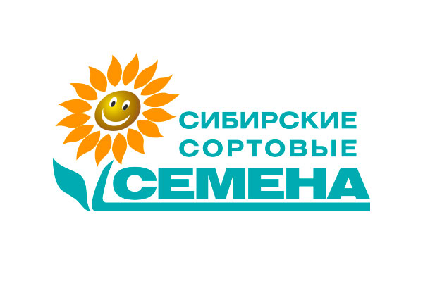 Без-имени-1.jpg