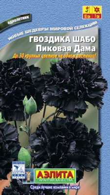 Шабо Пиковая Дама гвоздика (а)