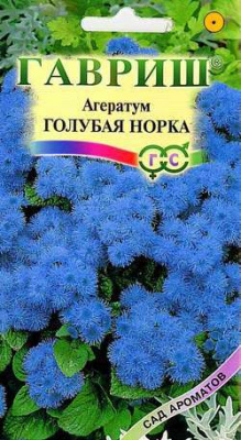 Голубая норка агератум (г)
