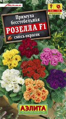 Примула Розелла F1, смесь окрасок (а)