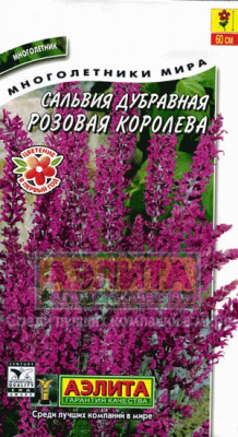 Розовая королева сальвия (а)