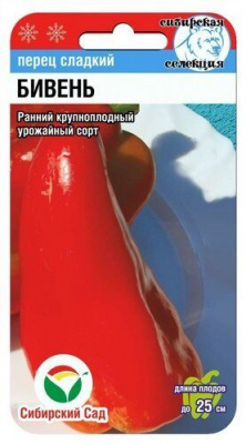 Бивень (сс)