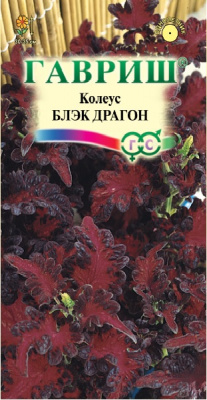 Блэк Драгон колеус 5 шт (г)