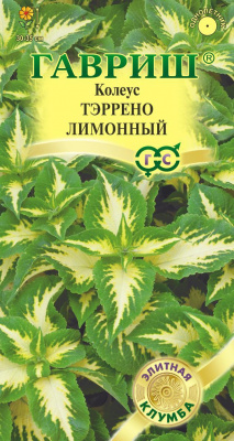 Тэррено лимонный колеус 5 шт (г)