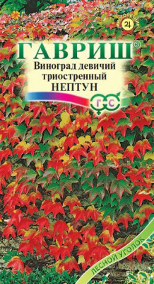 Виноград Нептун триостренный 5 шт (г)