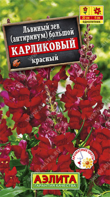 Карликовый Красный львиный зев (а)