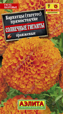 Солнечные гиганты оранж 90см бархатцы (а)