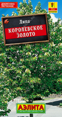 Липа Королевское золото пушистая (а)