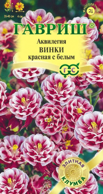 Винки красная с белым, обыкновенная аквилегия 5 шт (г)