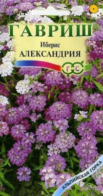 Александрия иберис 0,2г (г)