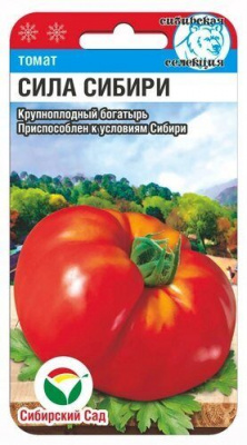 Сила Сибири томат 20шт (сс)