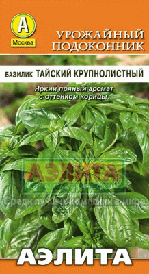 Тайский крупнолистный базилик (а)