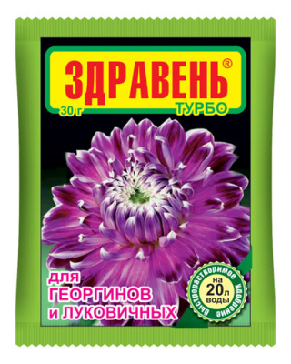 Здравень Георгины и Луков.Турбо 30гр.(1/150) (ВХ)
