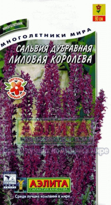 Лиловая королева сальвия 0,1гр (а)