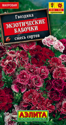 Экзотические бабочки гвоздика 20см 0,1г (а)