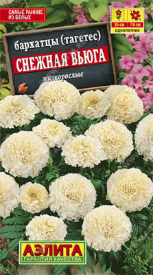 Снежная вьюга бархатцы 7шт (а)