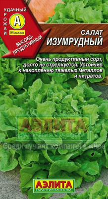 Изумрудный салат (а)