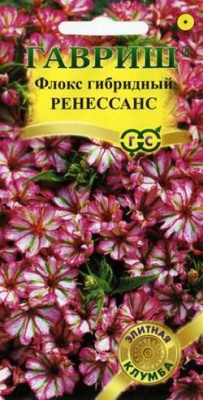 Ренессанс флокс гибридный 8 шт (г)