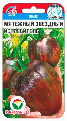 Мятежный звездный истребитель (сс)