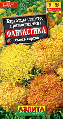 Фантастика (а)