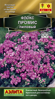 Промис лиловый махровый флокс 10шт (а)
