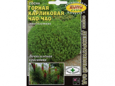 Сосна  Чао-чао карликовая горная мн 50см 0,1гр (а)