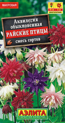 Аквилегия Райские птицы (а)