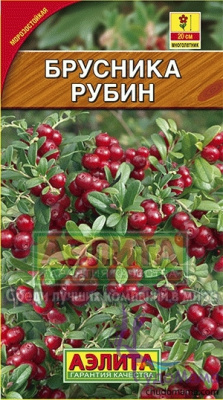 Брусника Рубин (а)