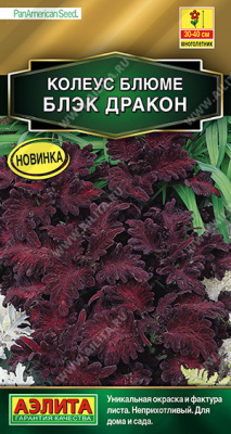 Блэк дракон колеус блюме 5шт (а) 