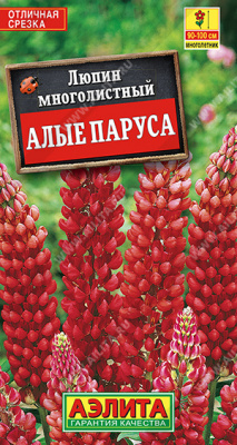 Алые Паруса красный мн люпин 15шт (а)