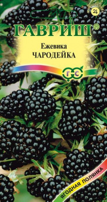 Ежевика Чародейка 10шт (г)