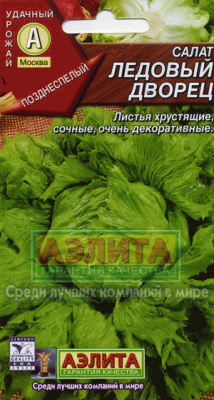 Ледовый дворец полукачанный салат (а)