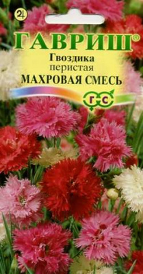 Махровая смесь китайская гвоздика 0,6г (г)