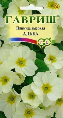 Примула Альба высокая мн 4шт (г)