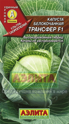 Трансфер F1 0,1г капуста Р (а)