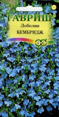 Кембридж лобелия (г)