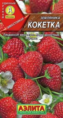 Кокетка земляника крупноплодная (а)