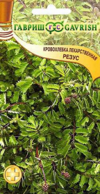 Кровохлебка Резус 15шт (г)