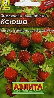 Ксюша альпийская земляника (а)