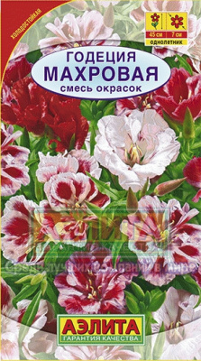 Махровая, смесь годеция (а)